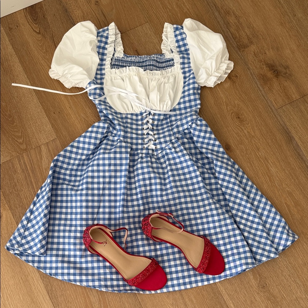 Dorothy wizard of oz dress and shoes